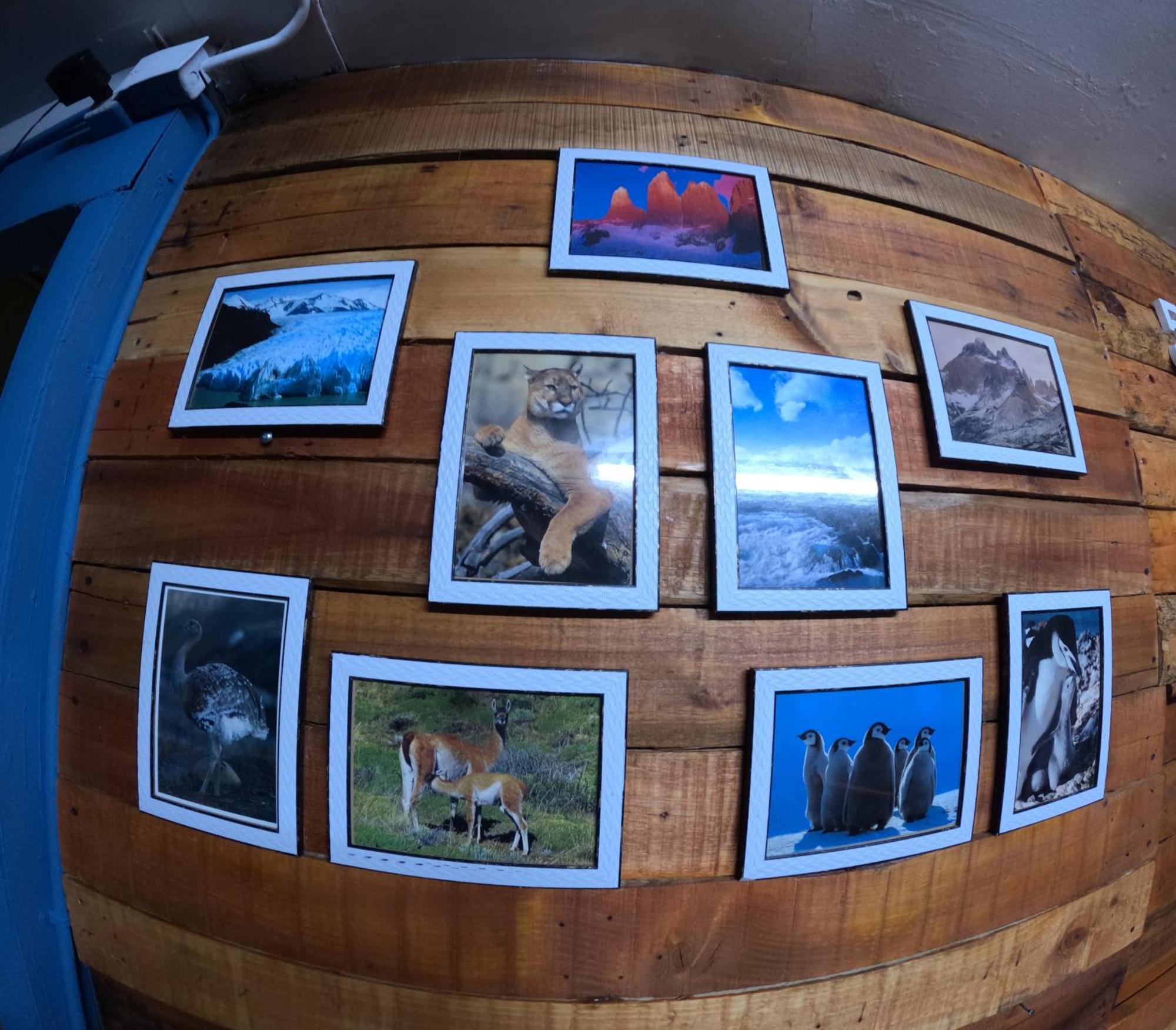 Hostel 53 Sur Puerto Natales Luaran gambar